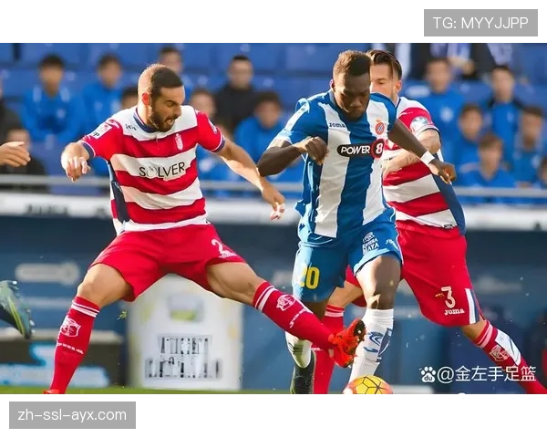 夏季转会窗展望:受新财政政策影响,意甲预计消费总额将下降